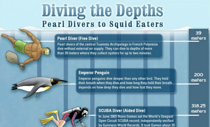 Infographic: Diving the depths - Pearl divers to Squid eaters -  MaritimeCyprus