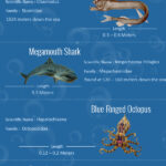 Infographic - Most-Terrifying-Creatures-in-Deep-Sea