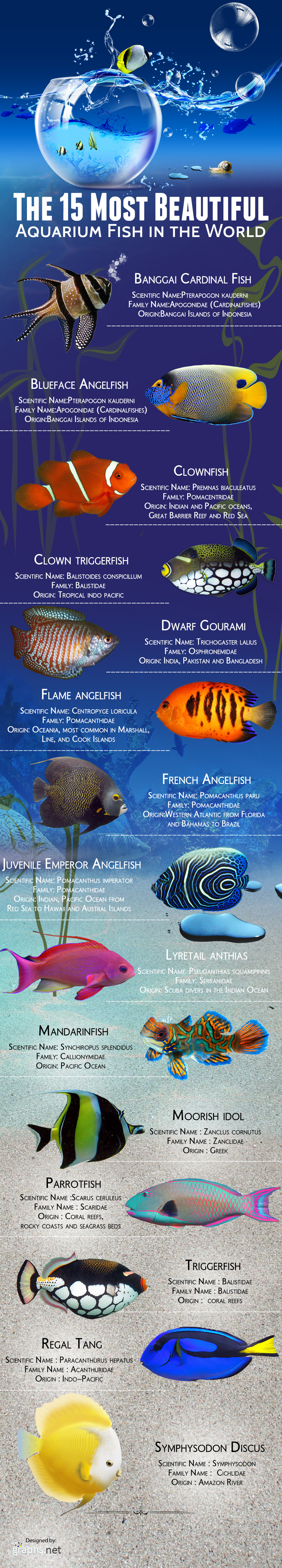 Infographic - the-15-most-beautiful-aquarium-fish-in-the-world