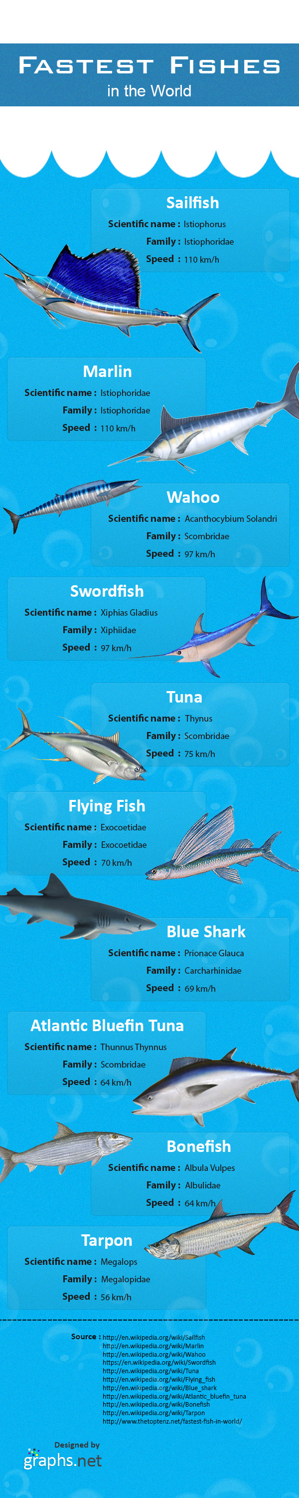 Fastest-Fishes-in-the-World