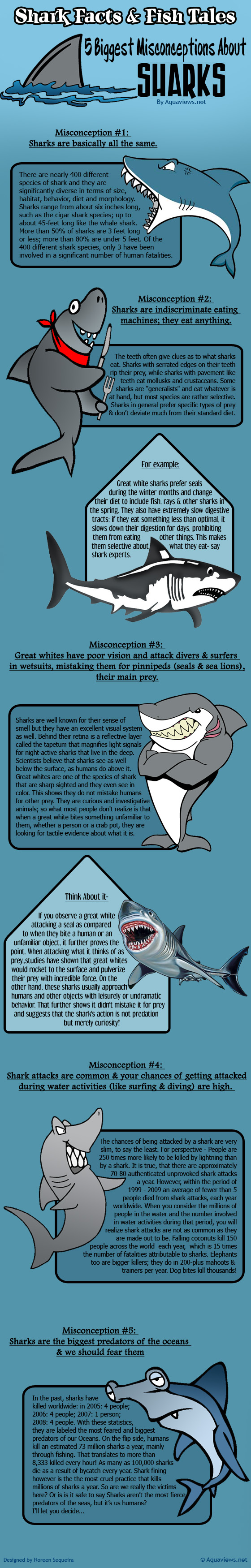 Shark-Infographic