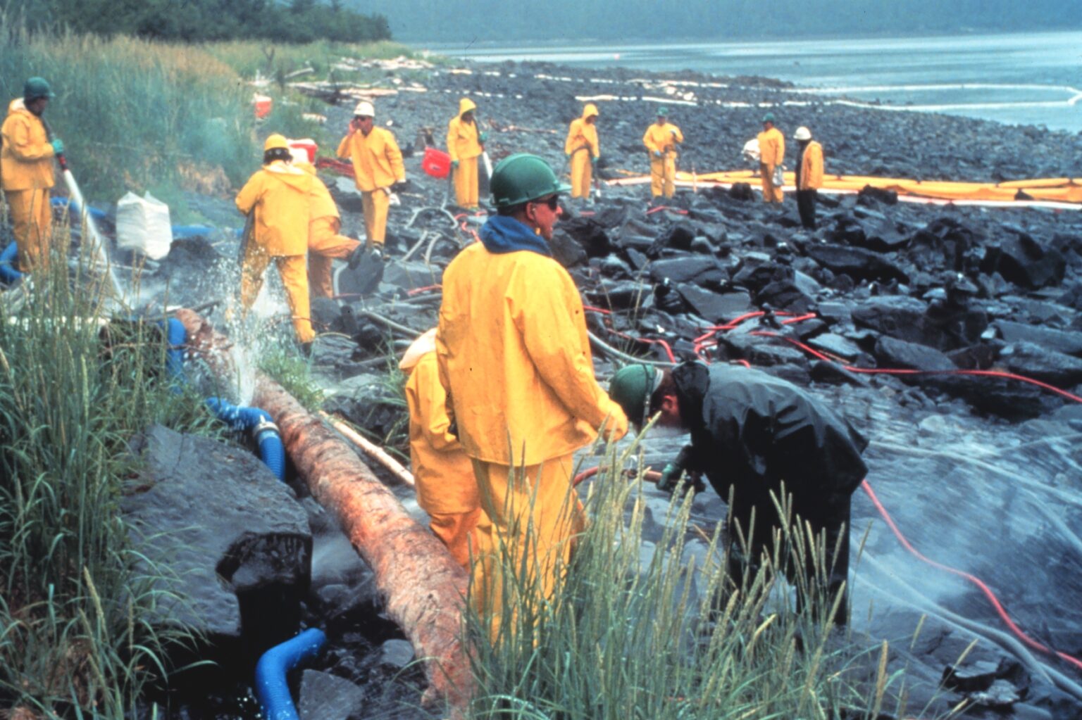case study of exxon valdez oil spill