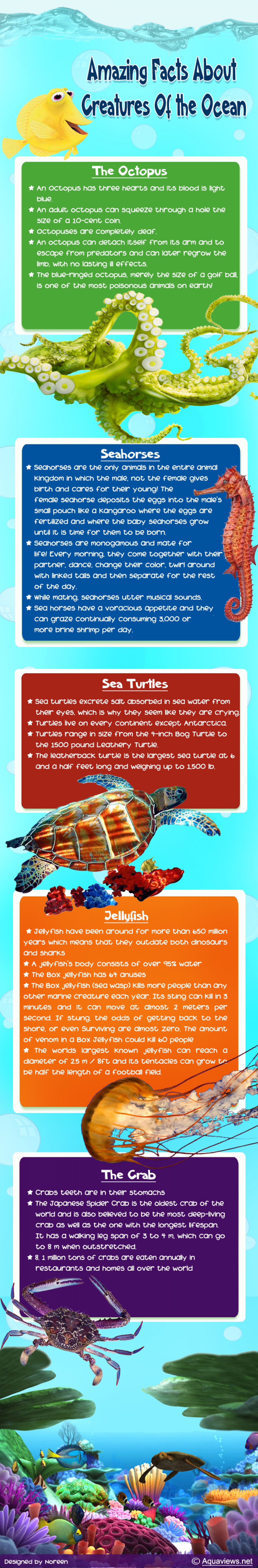 amazing-facts-about-creatures-of-the-ocean