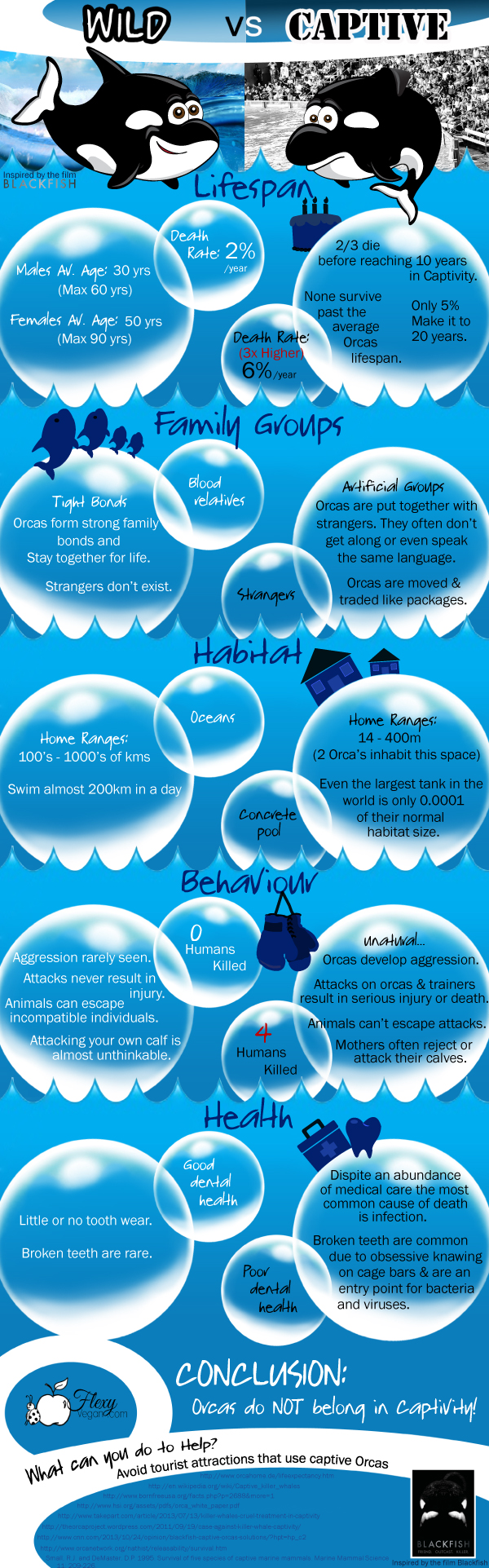 infographic Orcas