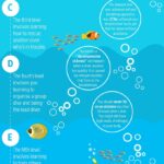scuba-diving-infographic