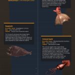 Infographic-deep sea dwellers