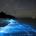 Bioluminescence from glowing plankton in sea tide line on beach, with stars above and ship lights on horizon, Vaadhoo Island, Raa Atoll, Maldives, Indian Ocean, October 2010