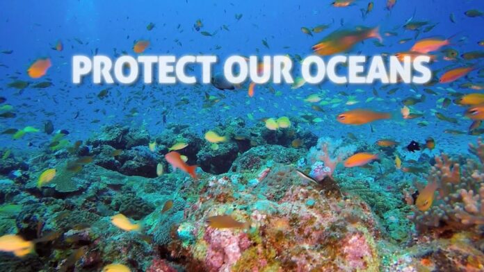 protect our oceans