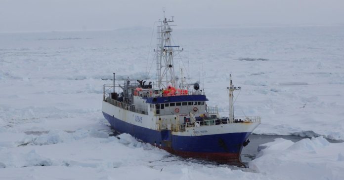 fishing vessel in polar waters