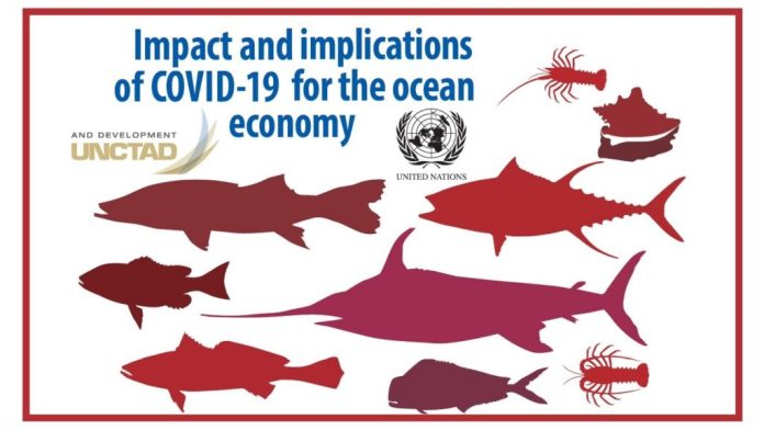 Impact and implications of COVID-19 for the ocean economy