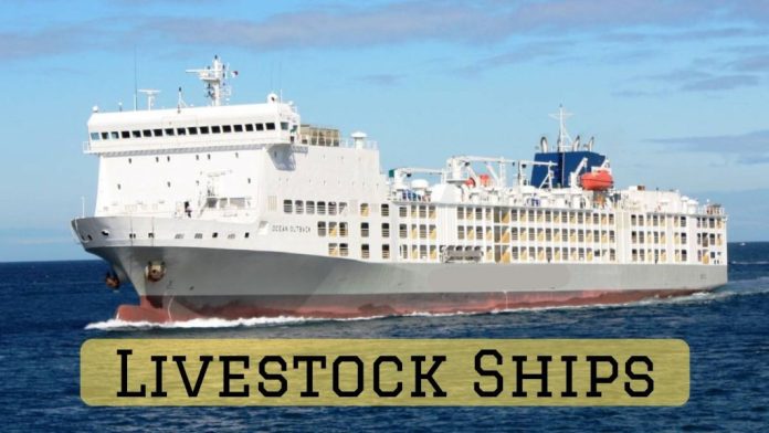 Livestock ships