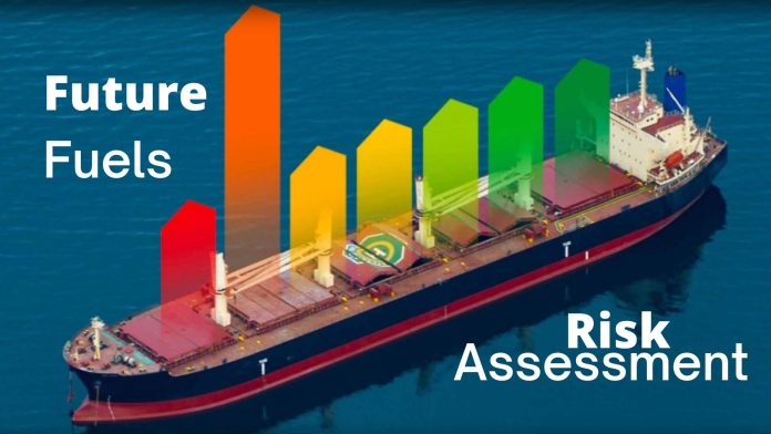 Future fuels risk assessment