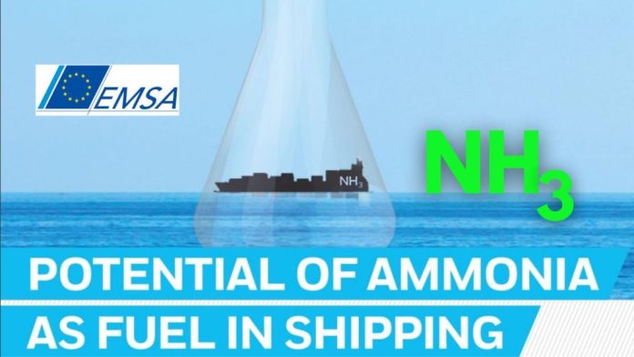 EMSA study on Ammonia
